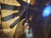 ZUR le boulon-109111